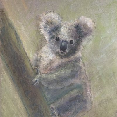 Малышка коала