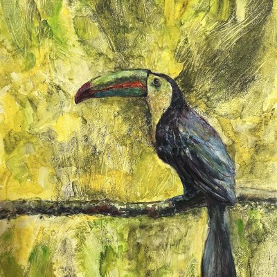 Bird tucan