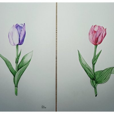 Couple of tulips