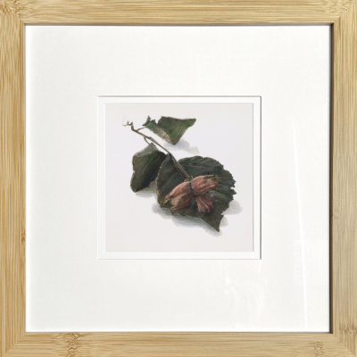Three nuts. From the “Floral Miniatures” series