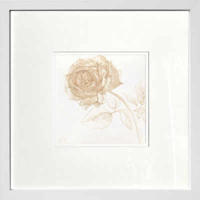 Golden Rose