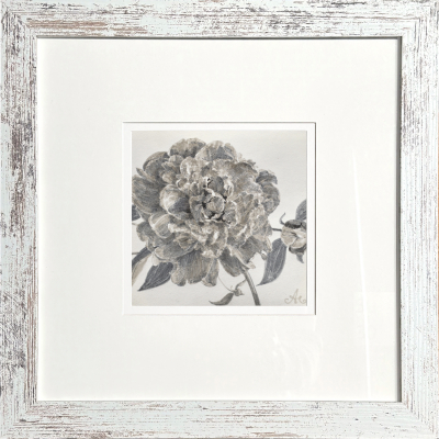 White peony