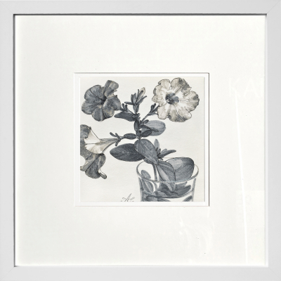 Petunia branch