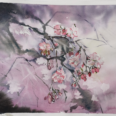 Spring-2020