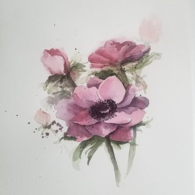 Anemones