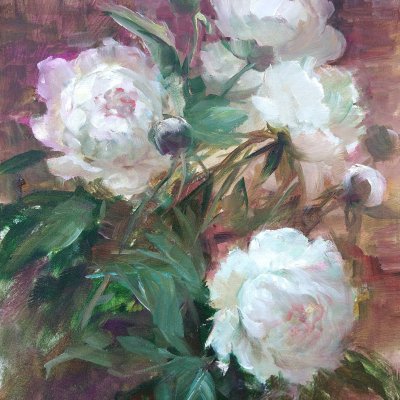 White peonies in the evening.