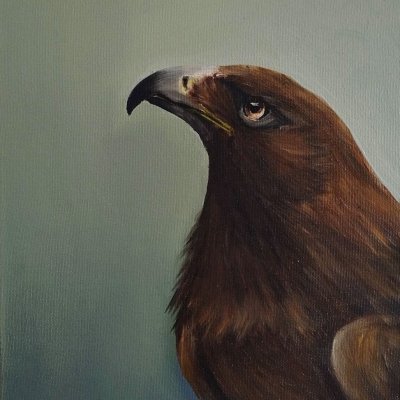 Партрэт вялікага арляца (Aquila clanga), П.А., 45×35 см., 2022.