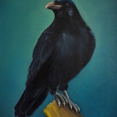 Knapweed (Corvus corax)