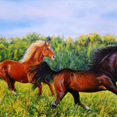 Horses. running