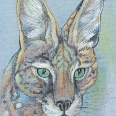 Serval. Portrait