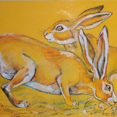 “Rabbits in a sunny meadow”