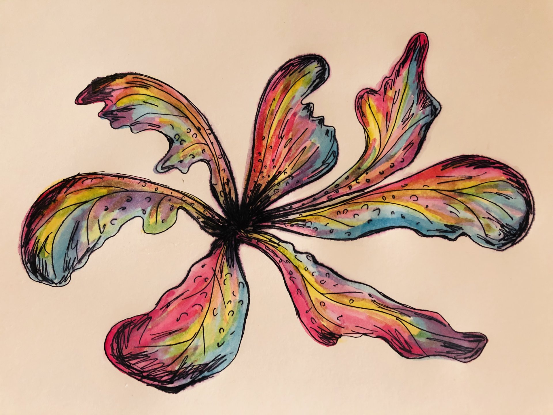 Графика «Радужный цветок». Размер: 20x30 (см). Автор Смольник Надежда -Купить онлайн с доставкой в онлайн-галерее Artcenter.by