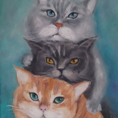 Three ruffled cats
