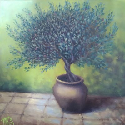 Olive tree