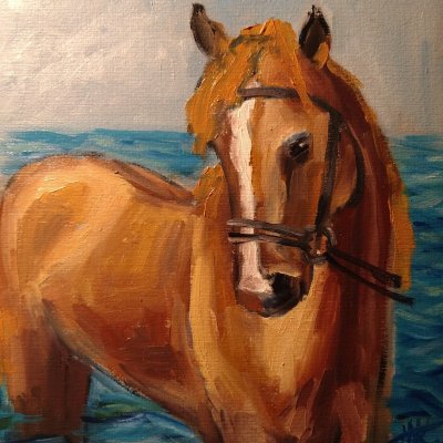 Horse in water