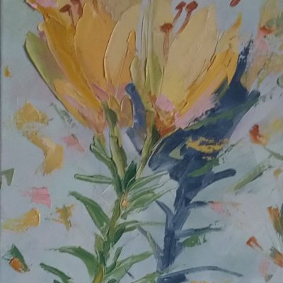 Yellow lily, fragrance and shade
