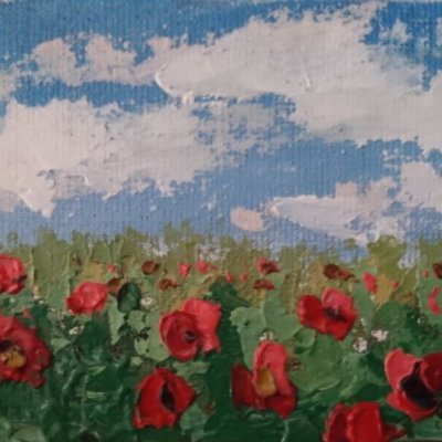 Poppies under the blue sky