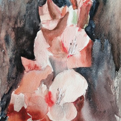 Gladiolus 1 (peachy)