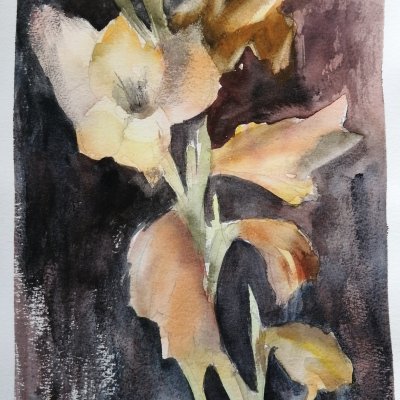 Gladiolus 3 (yellow)