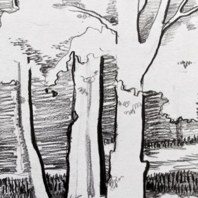 Sketching trees