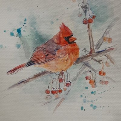 “Cardinal Bird” watercolor a4