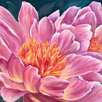 Sunny peonies