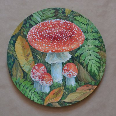 Fly agarics