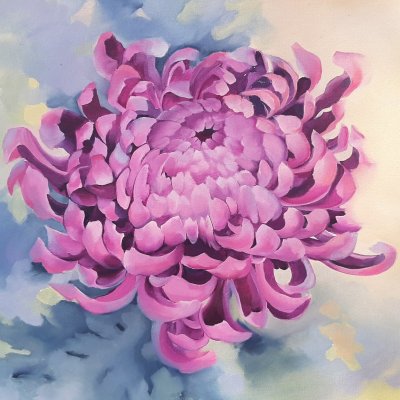 Chrysanthemum