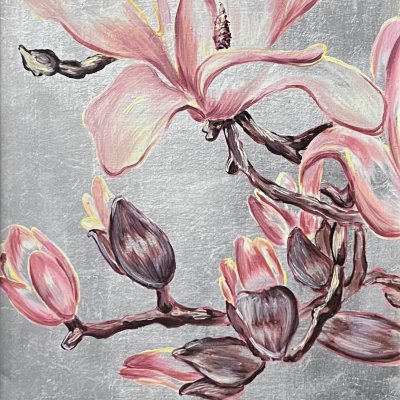 Delicate magnolias