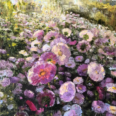 Mom's asters 8