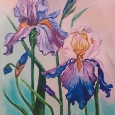 Irises