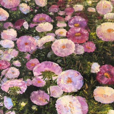 Mom's asters
