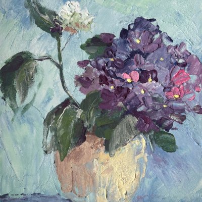 Hydrangea