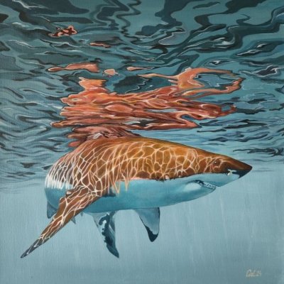 Shark