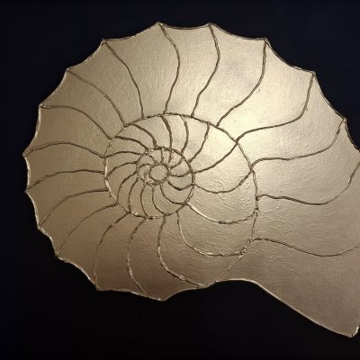Nautilus
