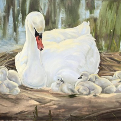 Swan mom