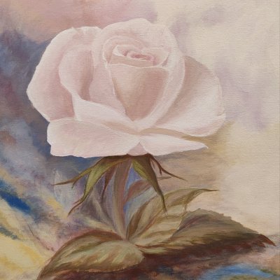 Delicate rose