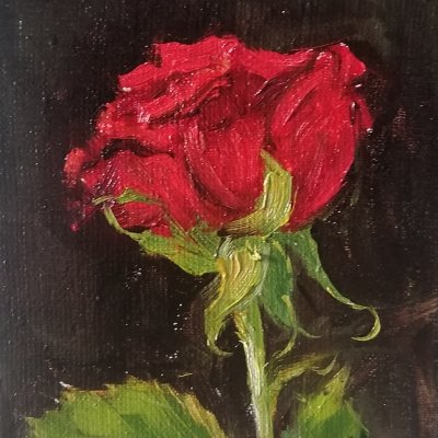 Red rose