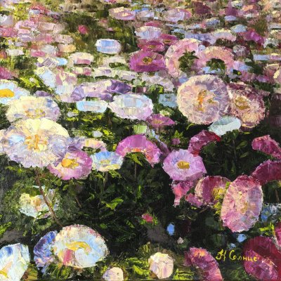 Mom's asters