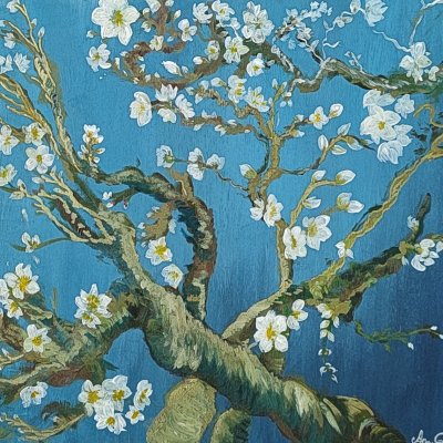 Blooming almond branches