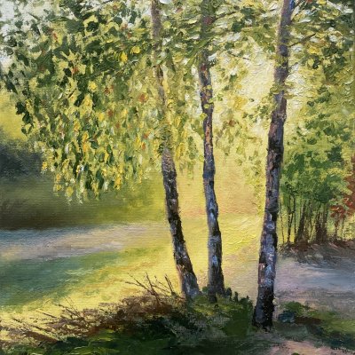 It's summer. Birch trees