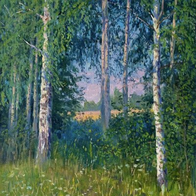 Birch grove on a hot day