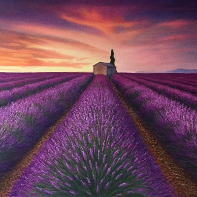 Lavender sunset