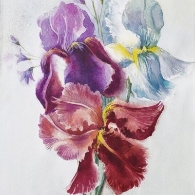 Irises, watercolor