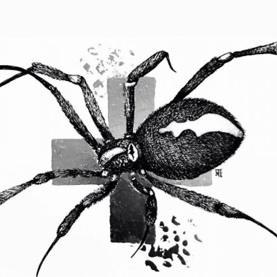 Collection. Spider