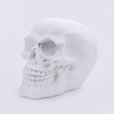 Copy skull without opener