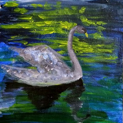 Swan oil painting