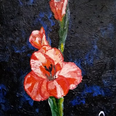 Gladiolus painting