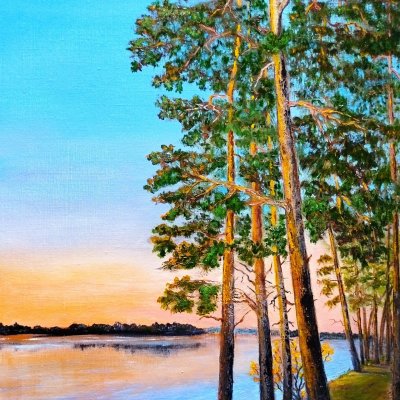 pine trees by the lake