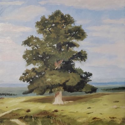 Single oak